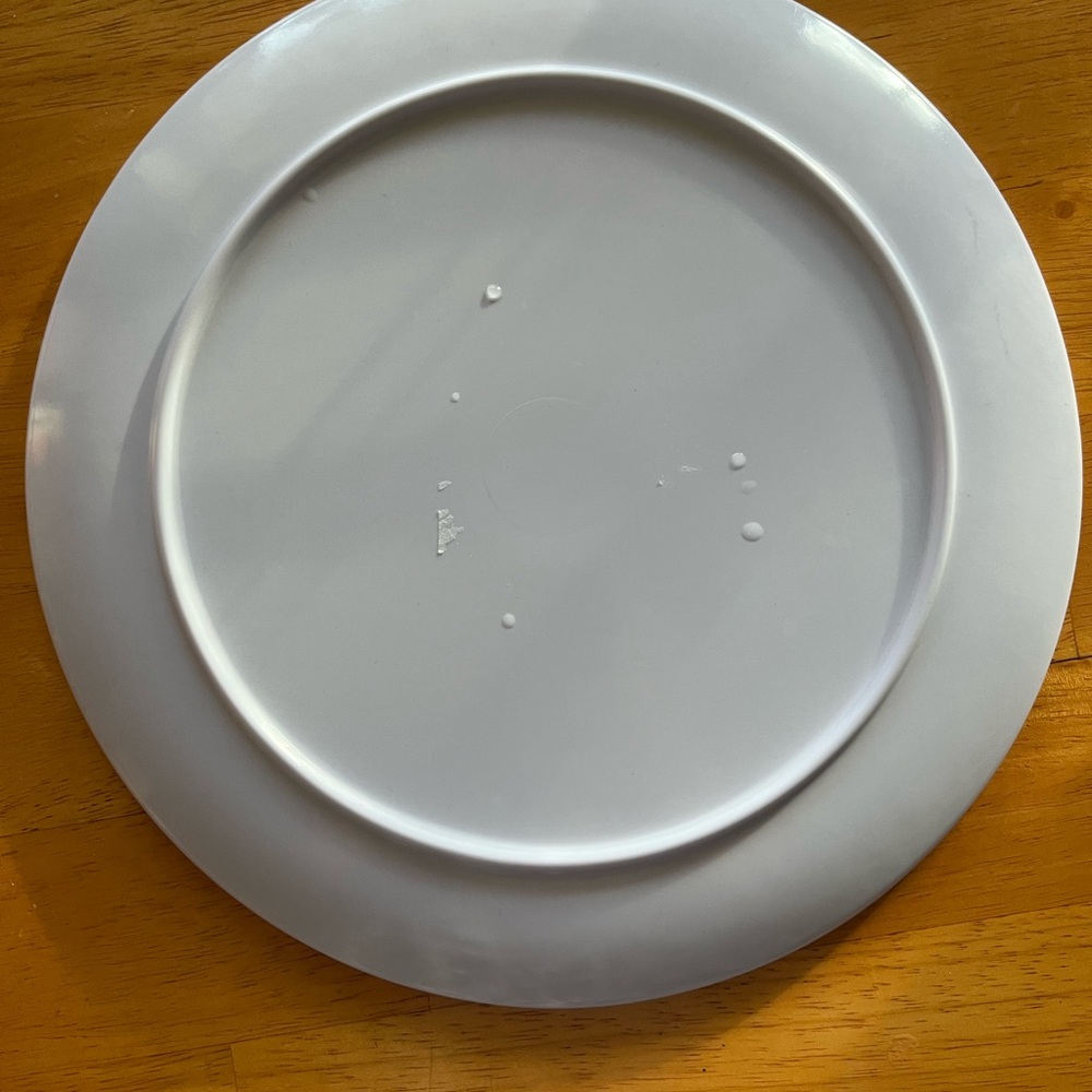 Melamine Day of the Dead Sugar Skull Set of 4 Dinner Plates - Picture 8 of 8